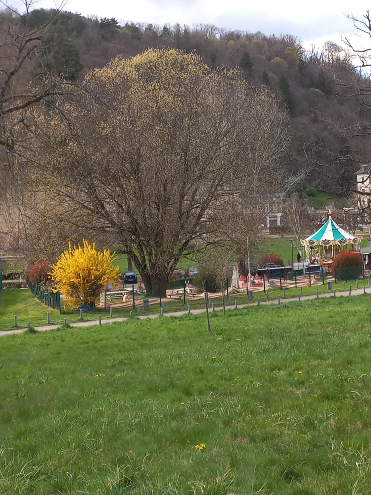 Residence Du Parc 생 마르탱 듀리아쥬 외부 사진